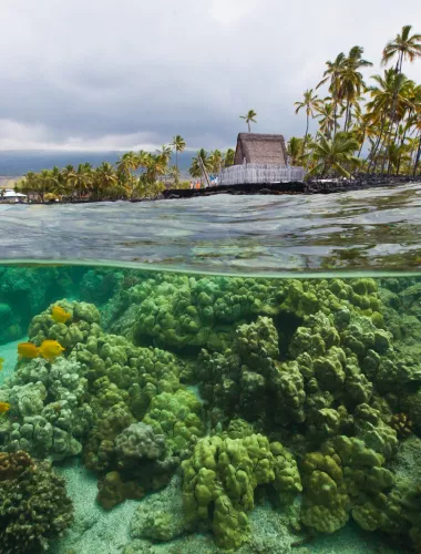 Coastal greenery with a small monument near Kealakekua Bay surrounded by lush vegetation and tranquil waters.