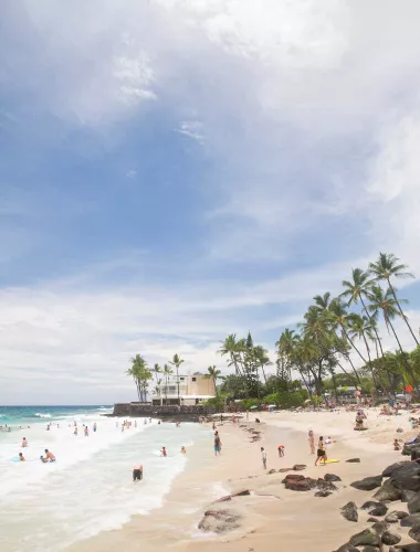 Beaches Serene Hawaiian beach with white sand, turquoise water, and palm trees along the shore.