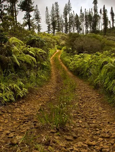 Munro Trail