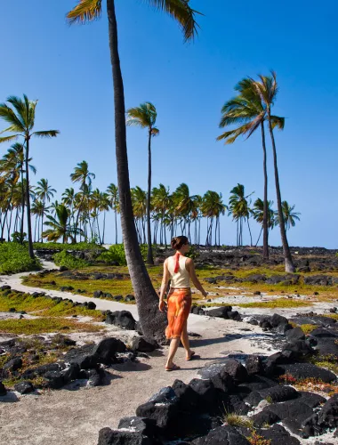 A serene view of tall palm trees and ancient stone structures at Puuhonua o Honaunau National Historical Park.