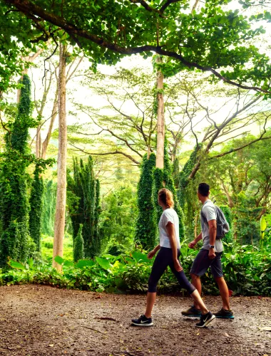 Trail Hiking