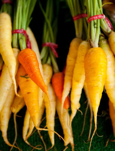 Carrots at Famers Market