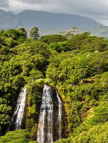 Towering double waterfall surrounded by lush green forest, showcasing the natural beauty of Kauai.