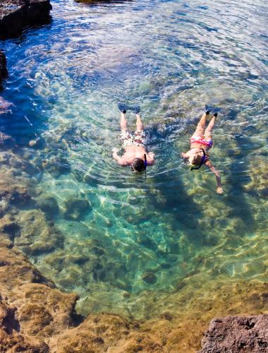 Snorkeling & Scuba Snorkeling & Scuba