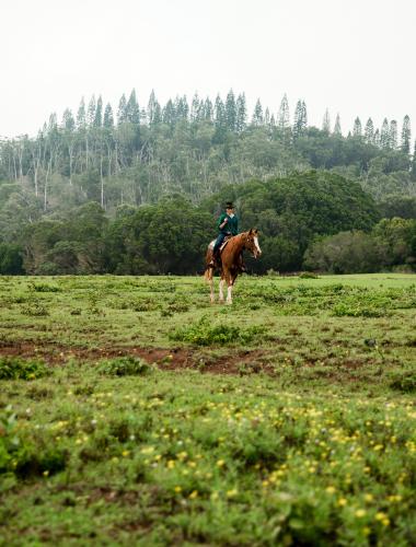 Lanai Brochure Link