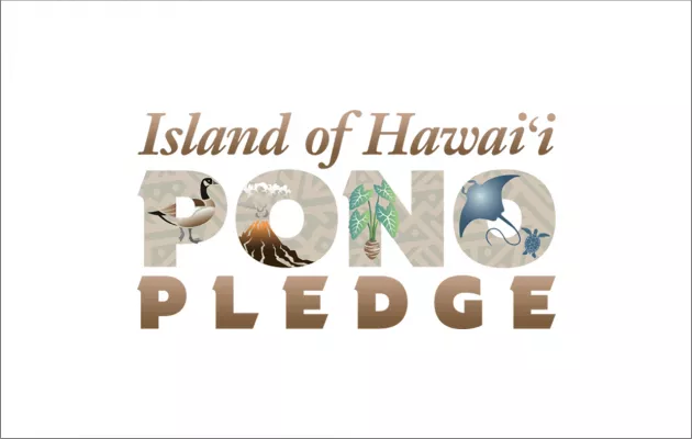 Travel Pono Pledge