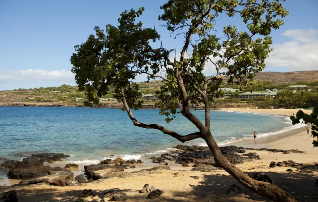Lānaʻi Beaches Lanai Beaches