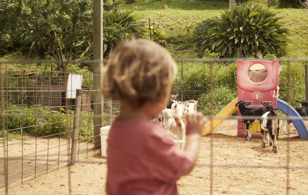 Farm Tours on Maui