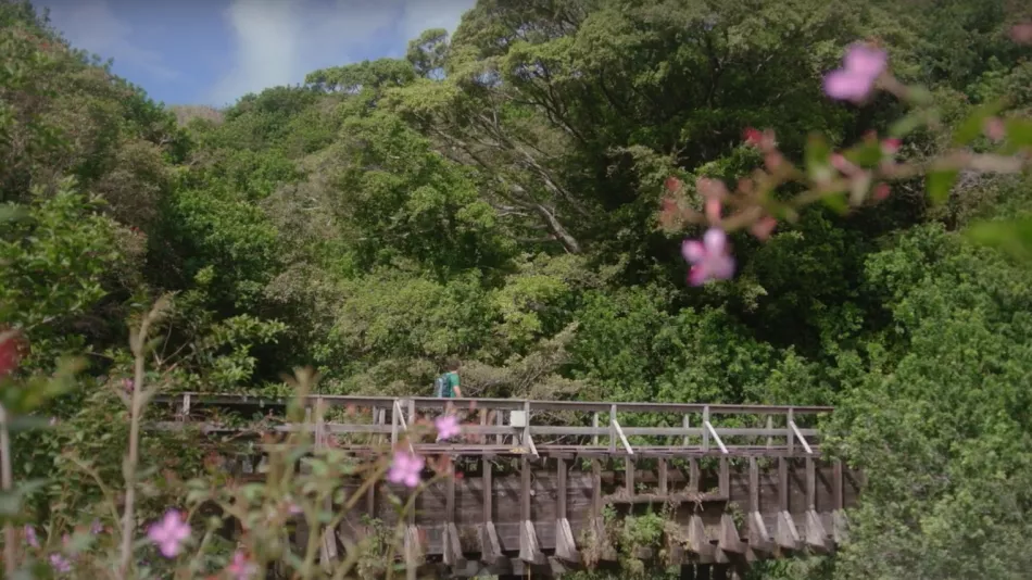 Hawaii Island Hiking
