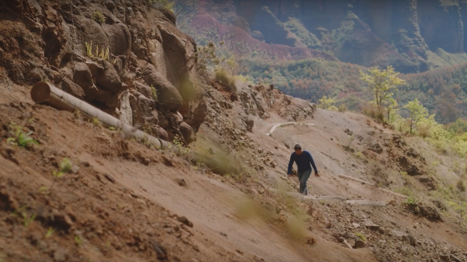 Kauai Travel Tips: Land Safety video