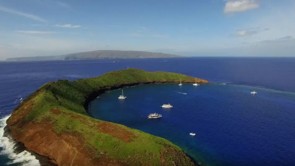 Maui