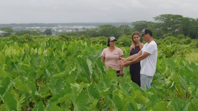 Malama Land