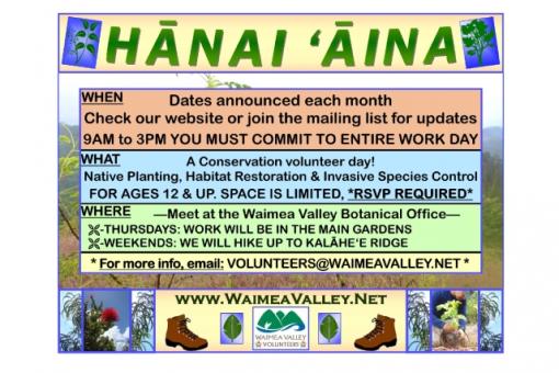 Hanai aina Conservation Workday: Forest Restoration
