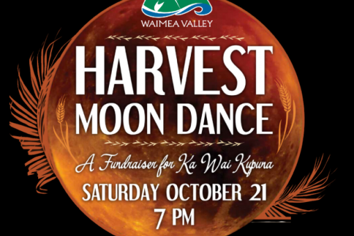 Harvest Moon Dance  Go Hawaii