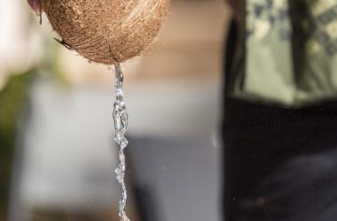 Experience the taste and interactive activity of cultural Hawaiian coconut husking with The Shops at Wailea.