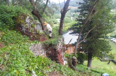 Caring for Lawai