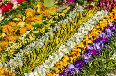 Lei Making