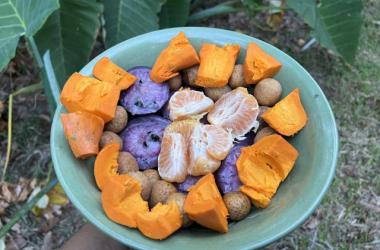 Guided Gather: A Locally Grown Culinary Experience