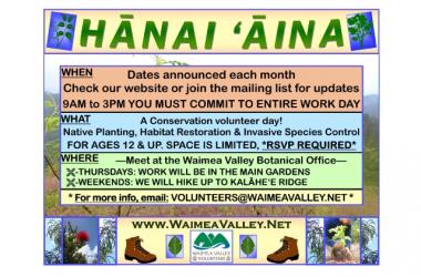 Hanai aina Conservation Workday: Forest Restoration