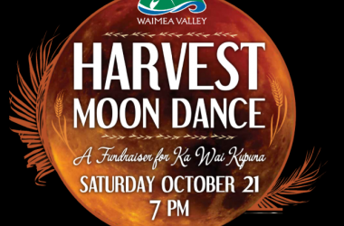 Harvest Moon Dance