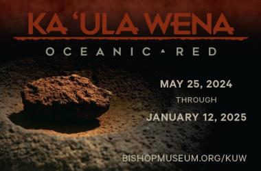 Oahu Events Calendar: Shows Exhibits Festivals More Go Hawaii