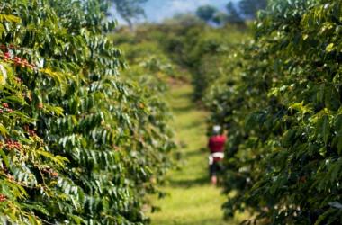 Island of Hawaii Events Calendar Go Hawaii