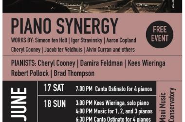 PIANO SYNERGY