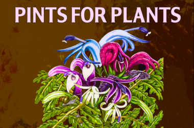 Pints for Plants