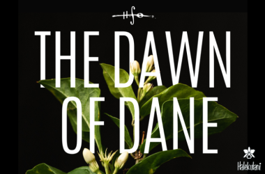 The Dawn of Dane
