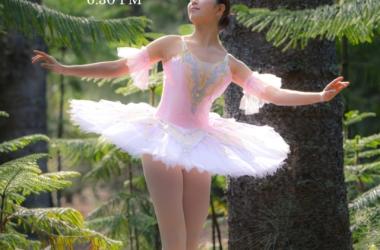 The Nutcracker