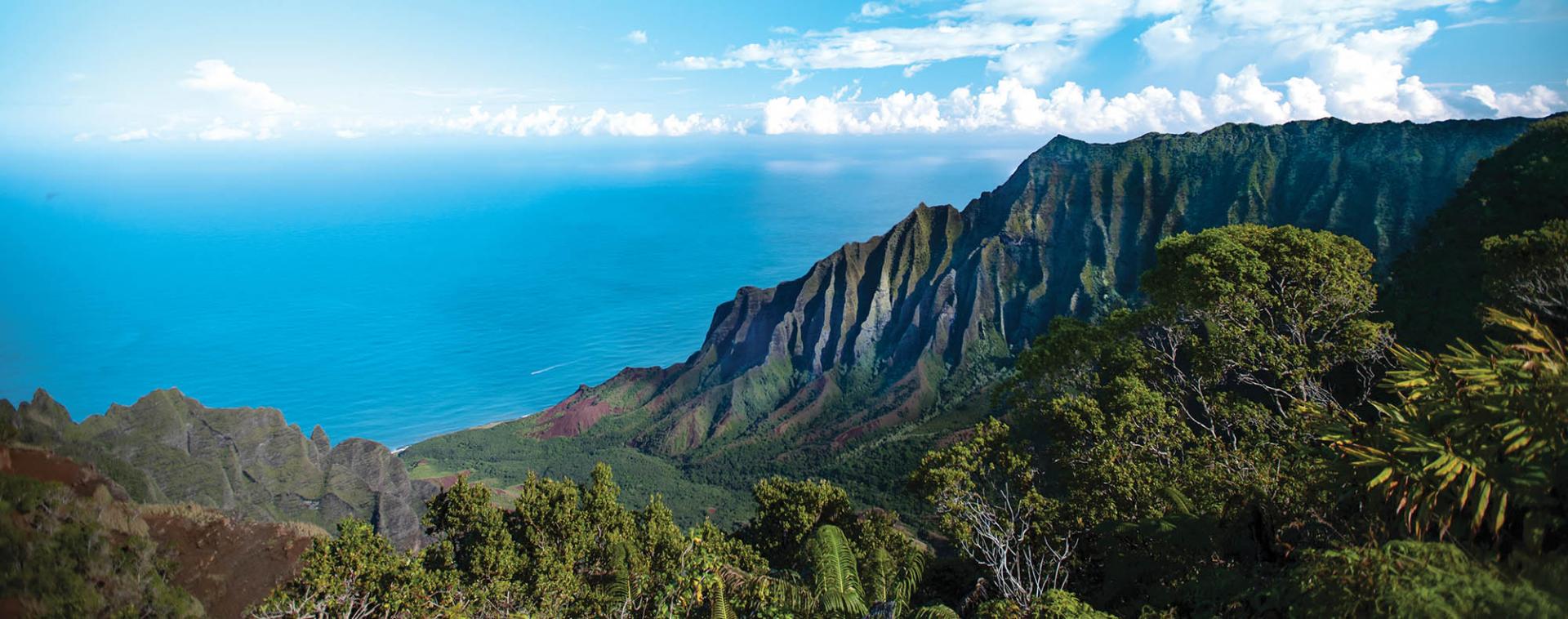 Malama Hawaii Go Hawaii