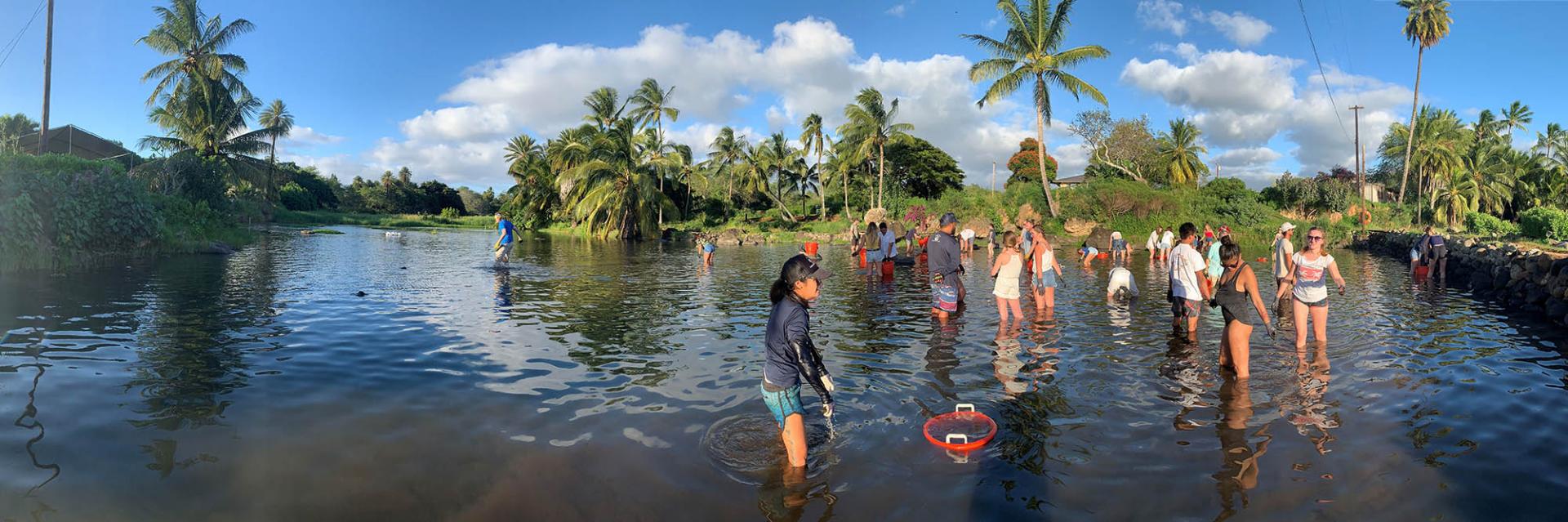 Volunteers in water 