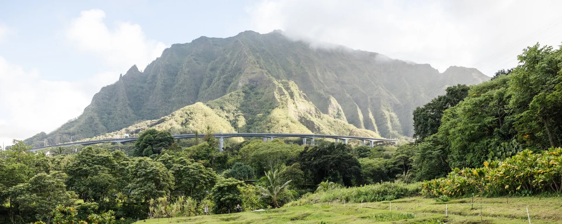 Scenic view of Papahana Kuaola