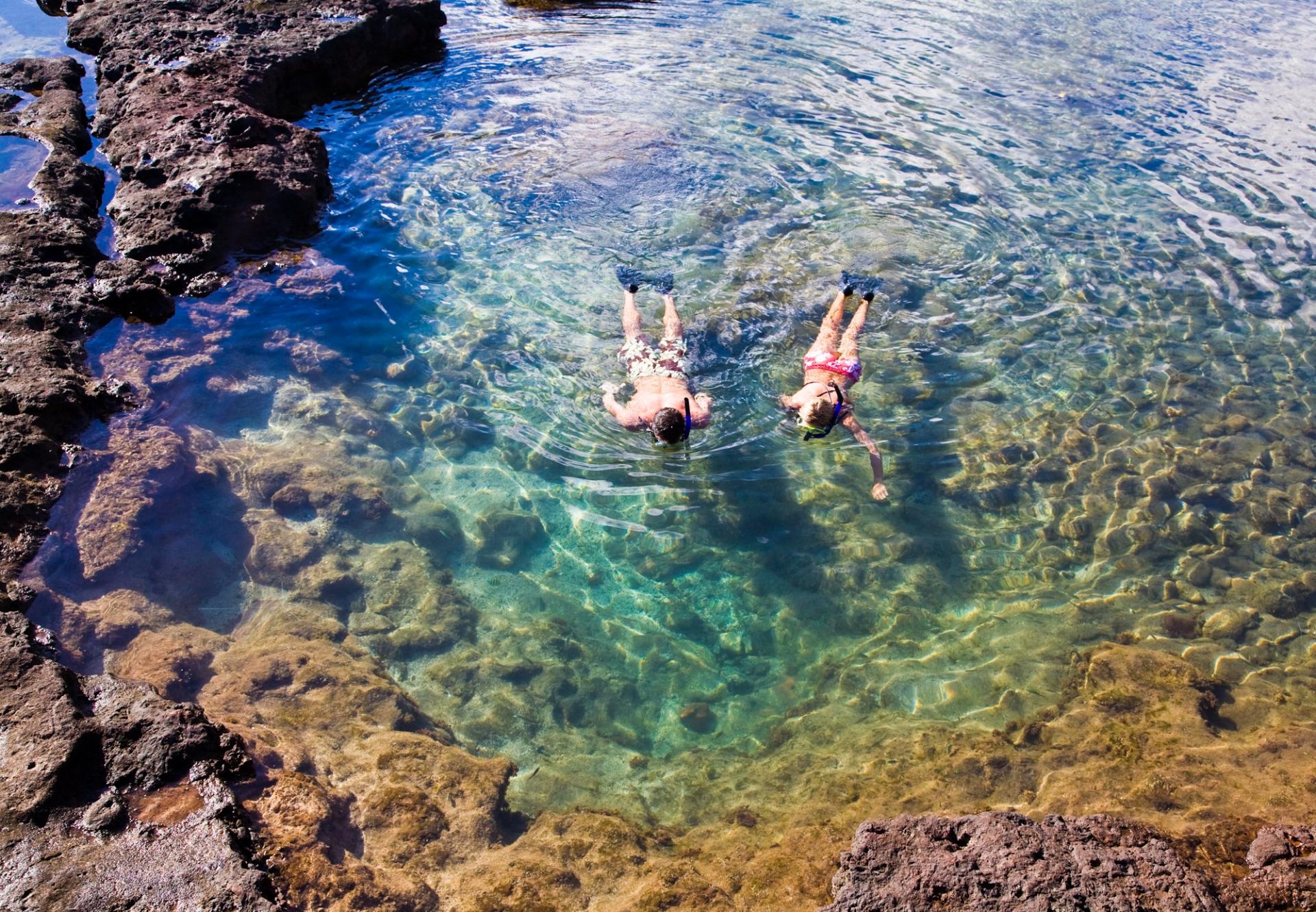 Snorkeling and Scuba