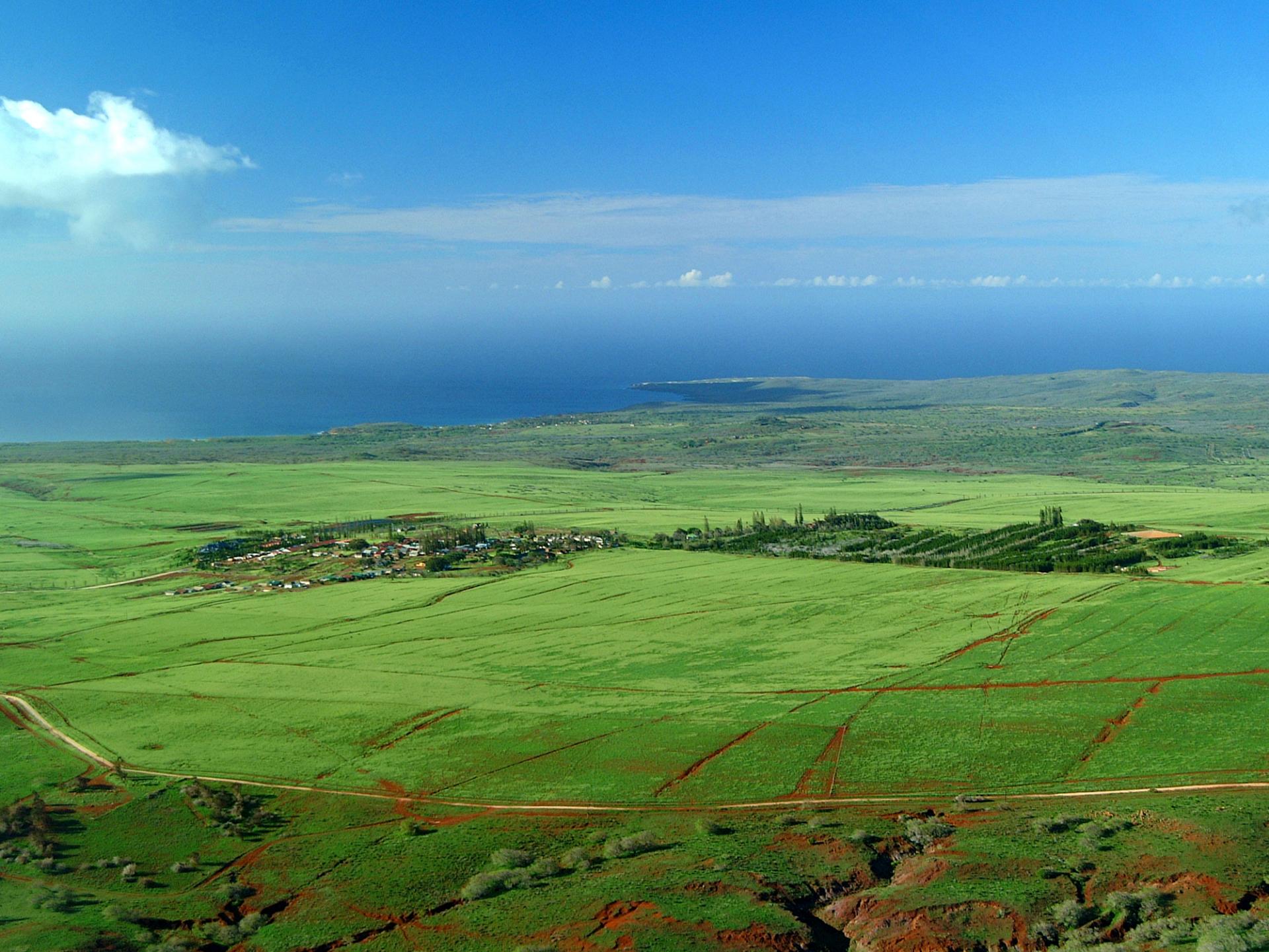 Maunaloa