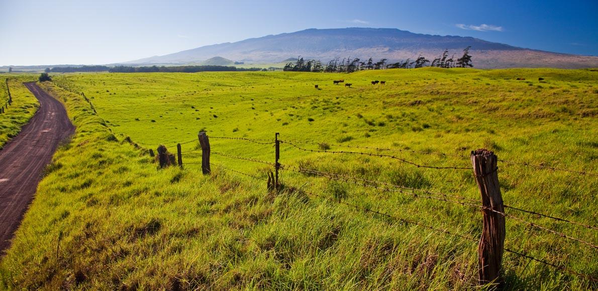 Mele Kaʻapuni no Keawe Kū i ka Moku Mele Kaapuni no Keawe Kū i ka Moku