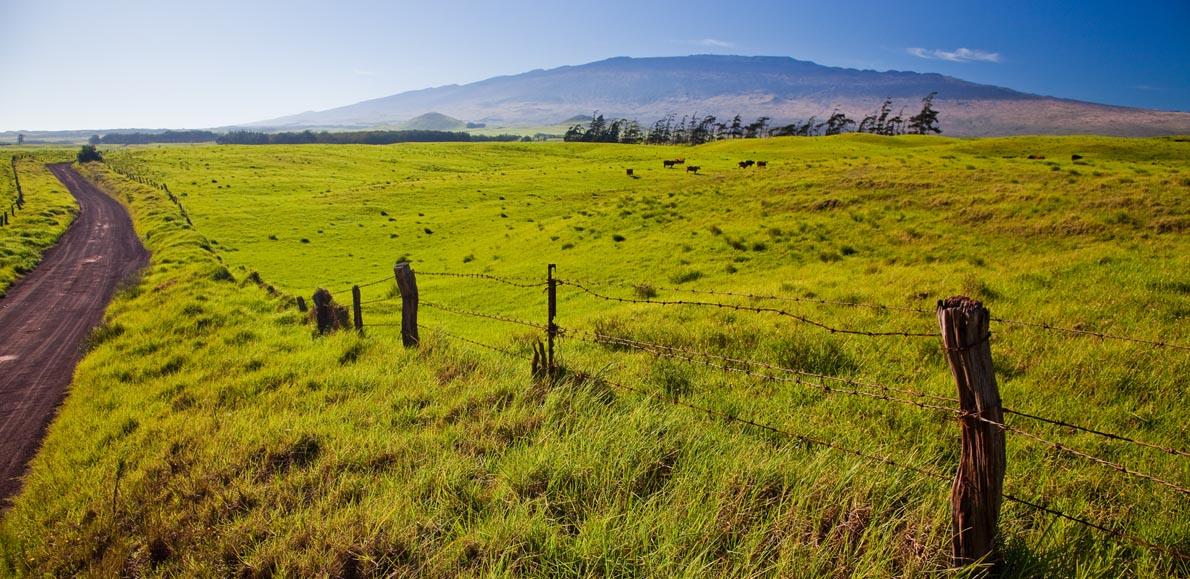 Mele Kaapuni no Keawe Kū i ka Moku