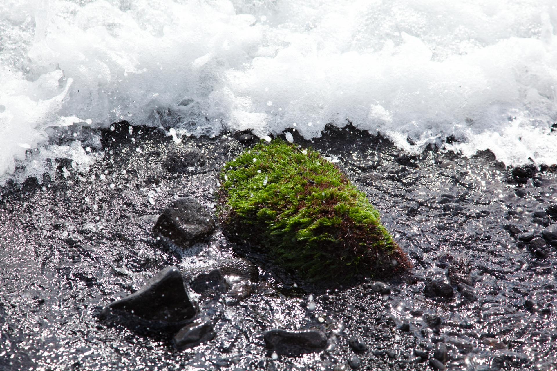 Kala‘e (South Point) Kalae (South Point)