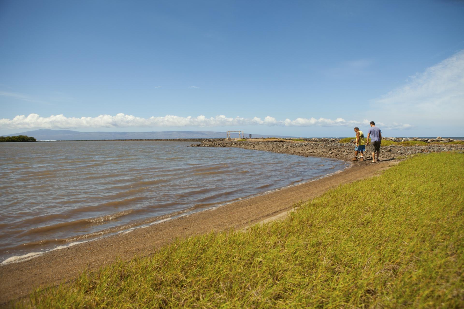 Hawaiian Fishponds