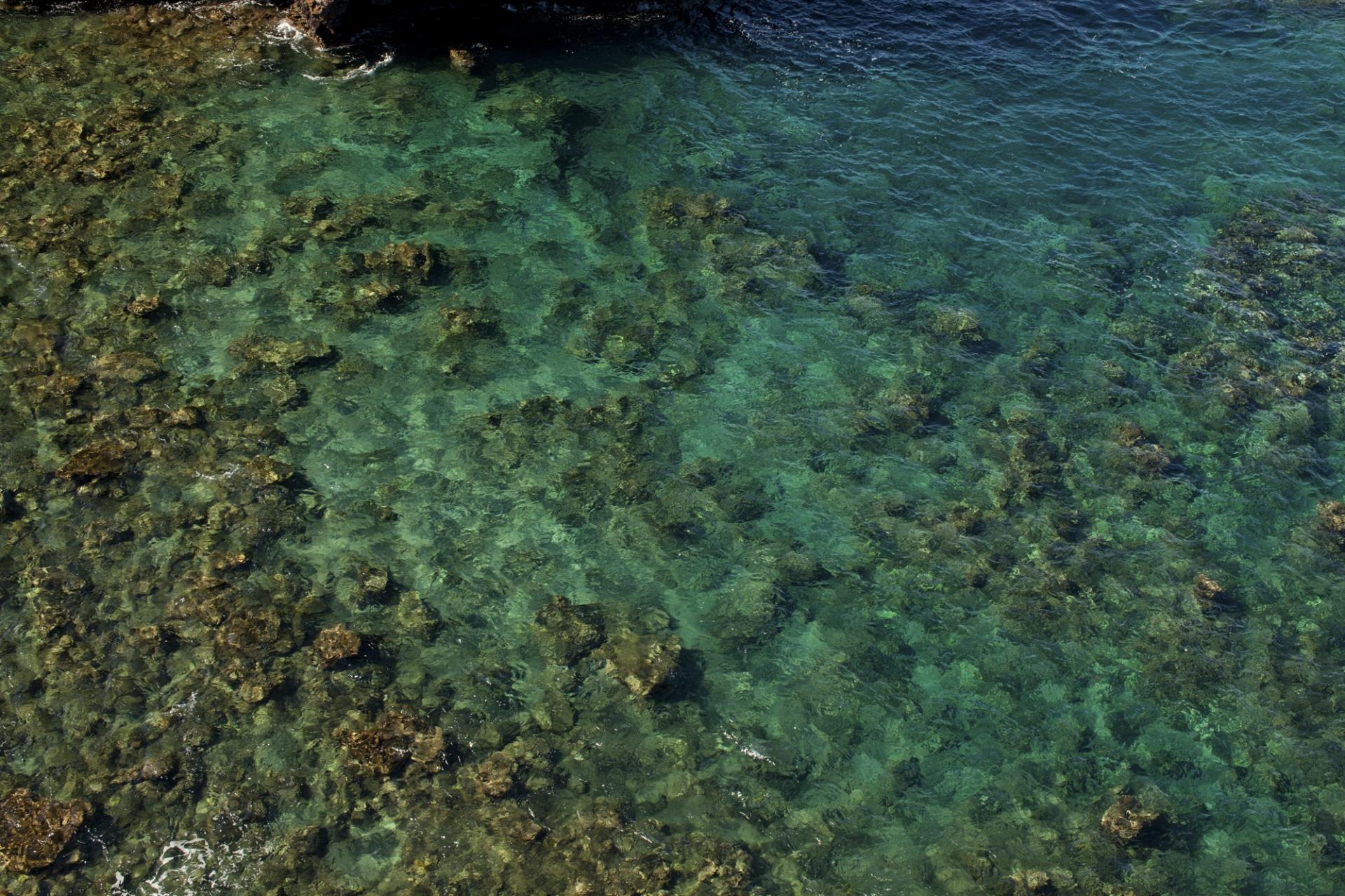 Snorkeling & Scuba