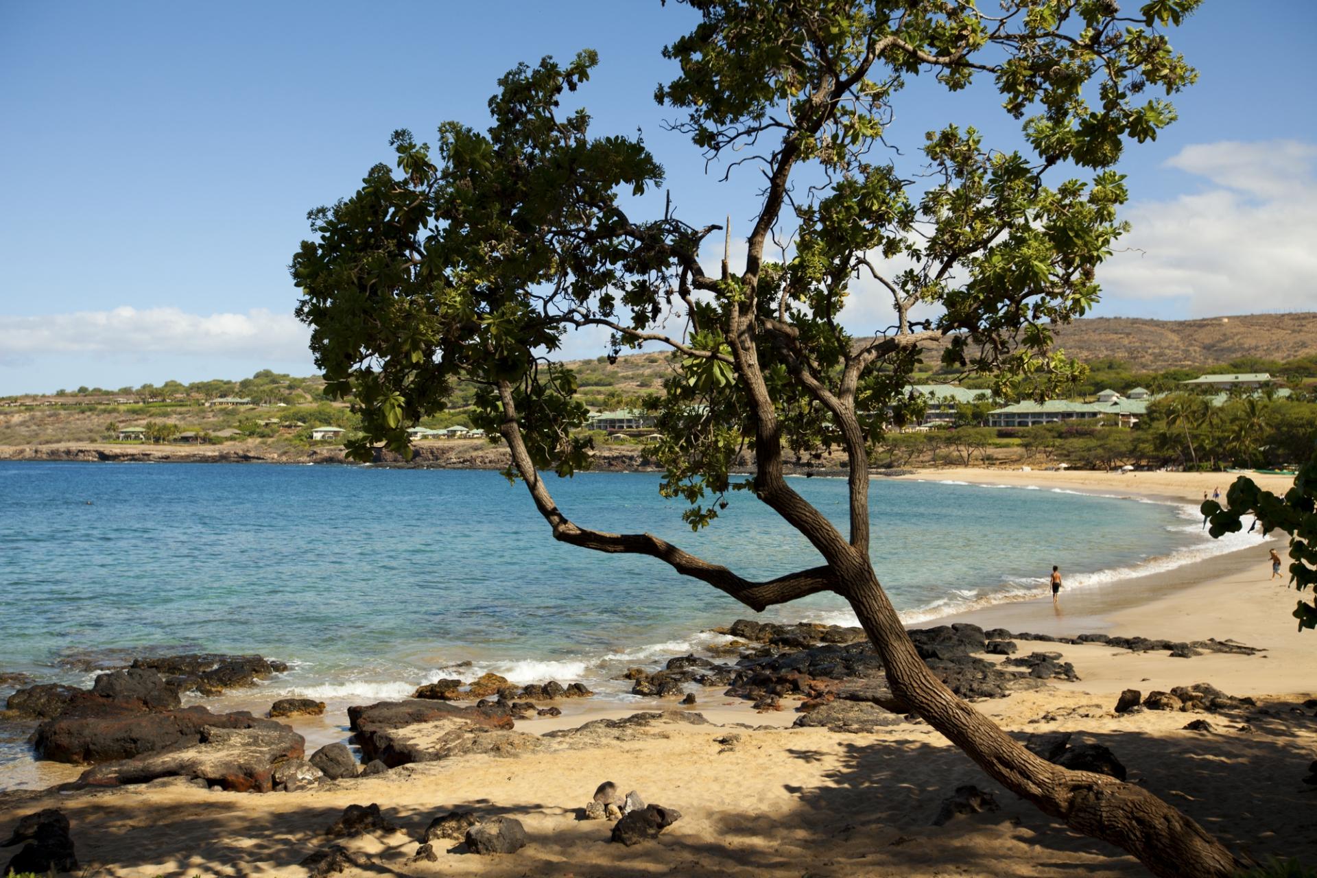 Hulopoe Bay