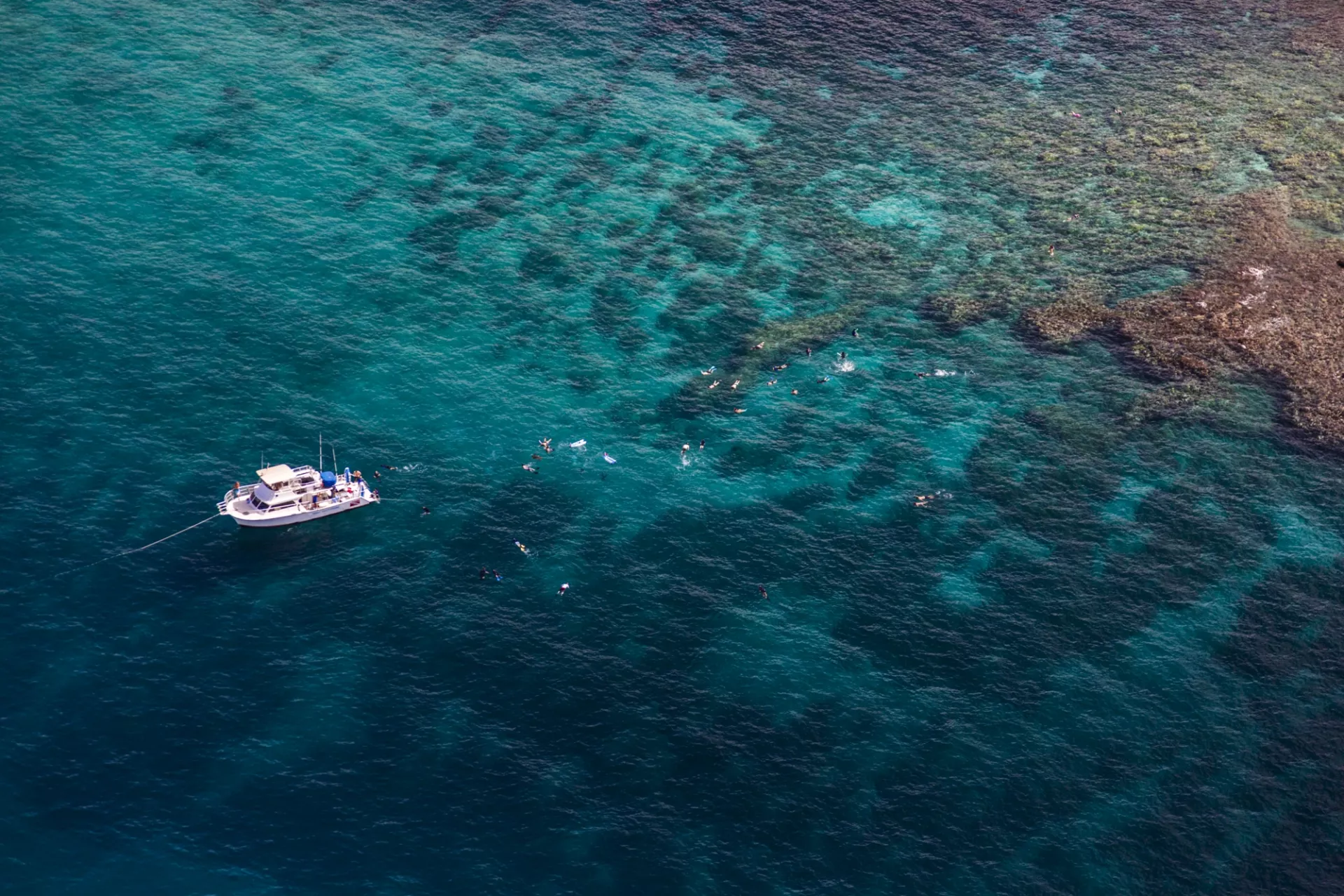 Scuba & Snorkeling Scuba & Snorkeling