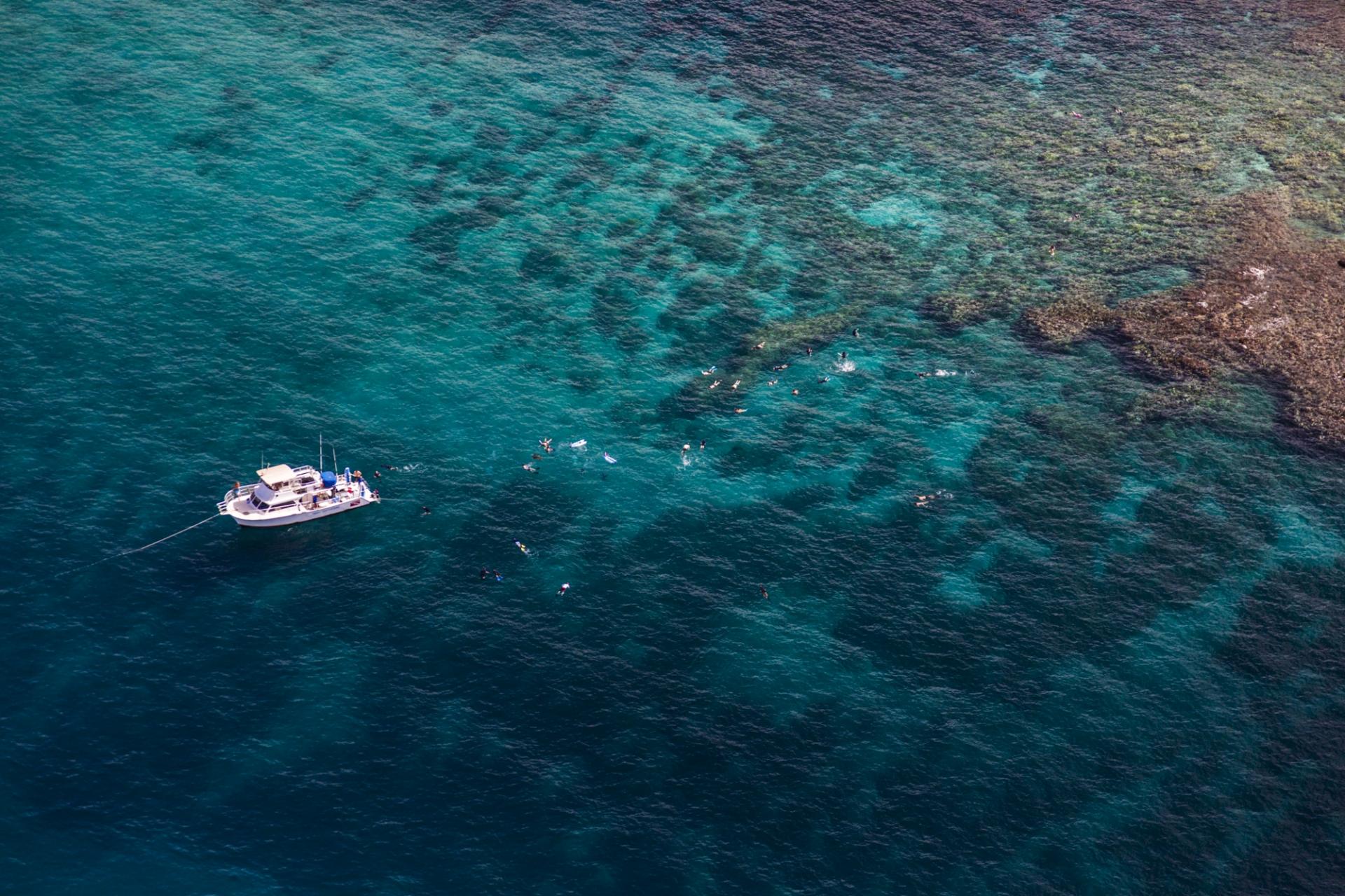 Scuba & Snorkeling Scuba & Snorkeling