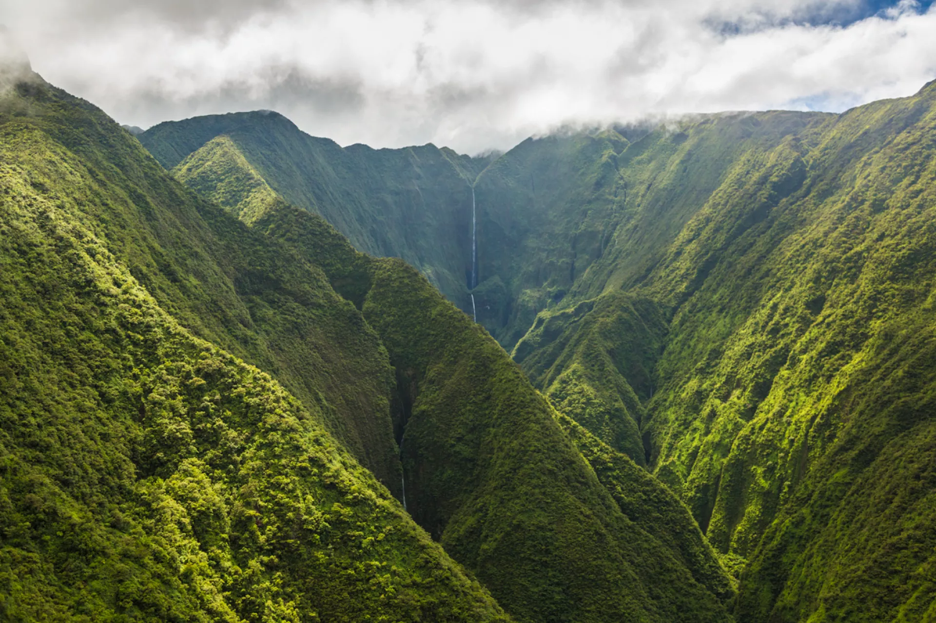 Maui