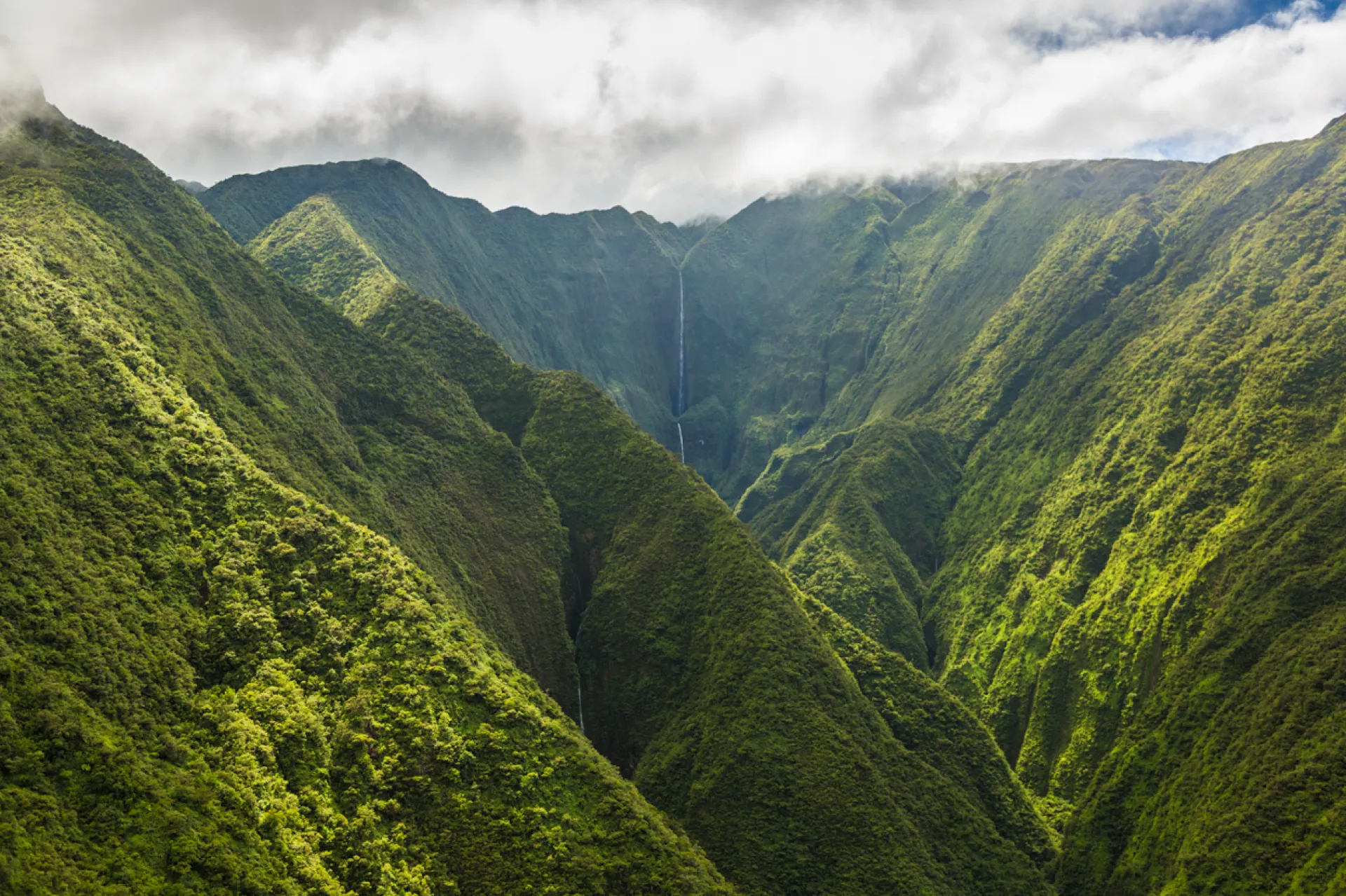 Maui