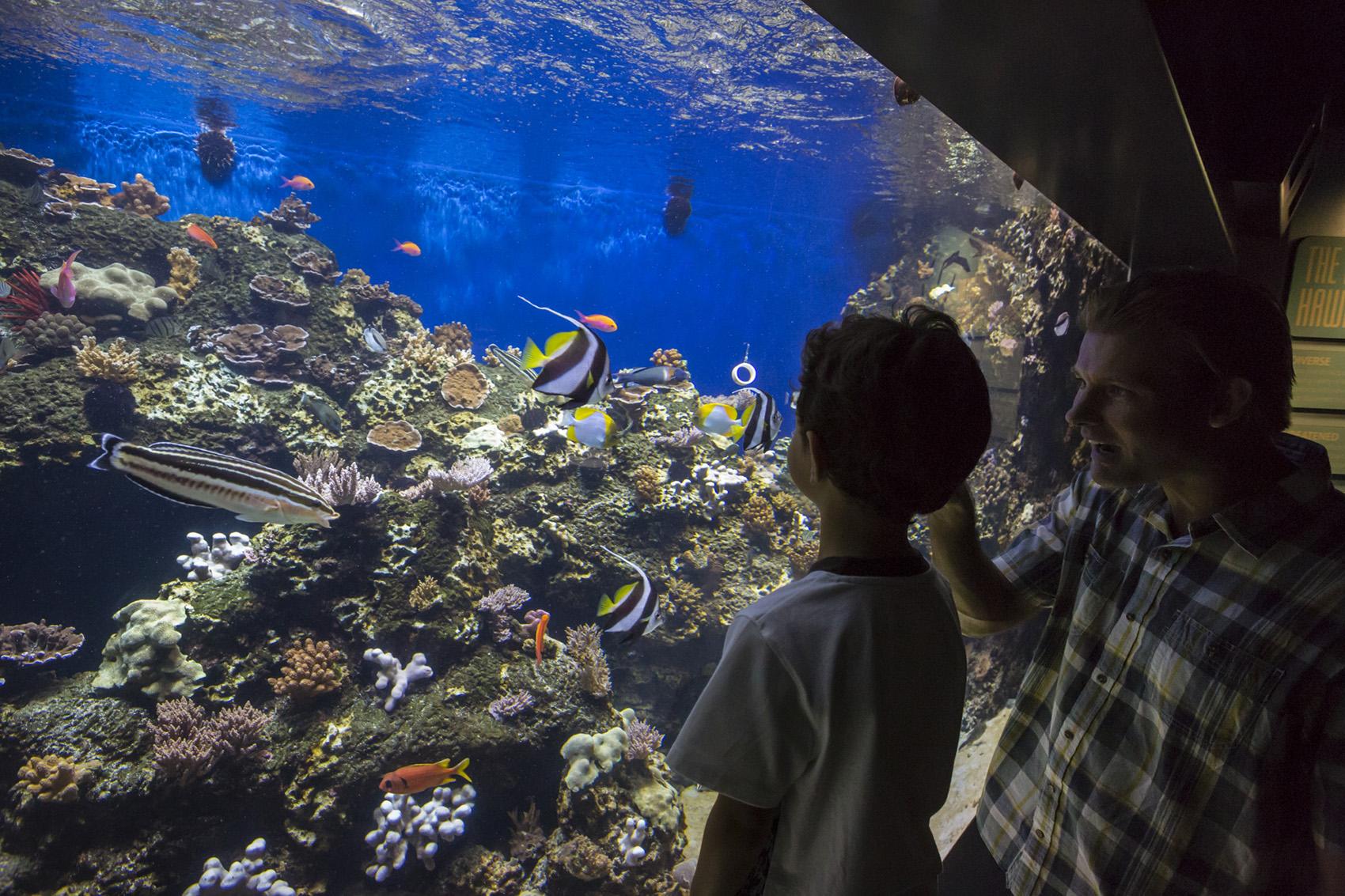 Educational Travel Educational Travel