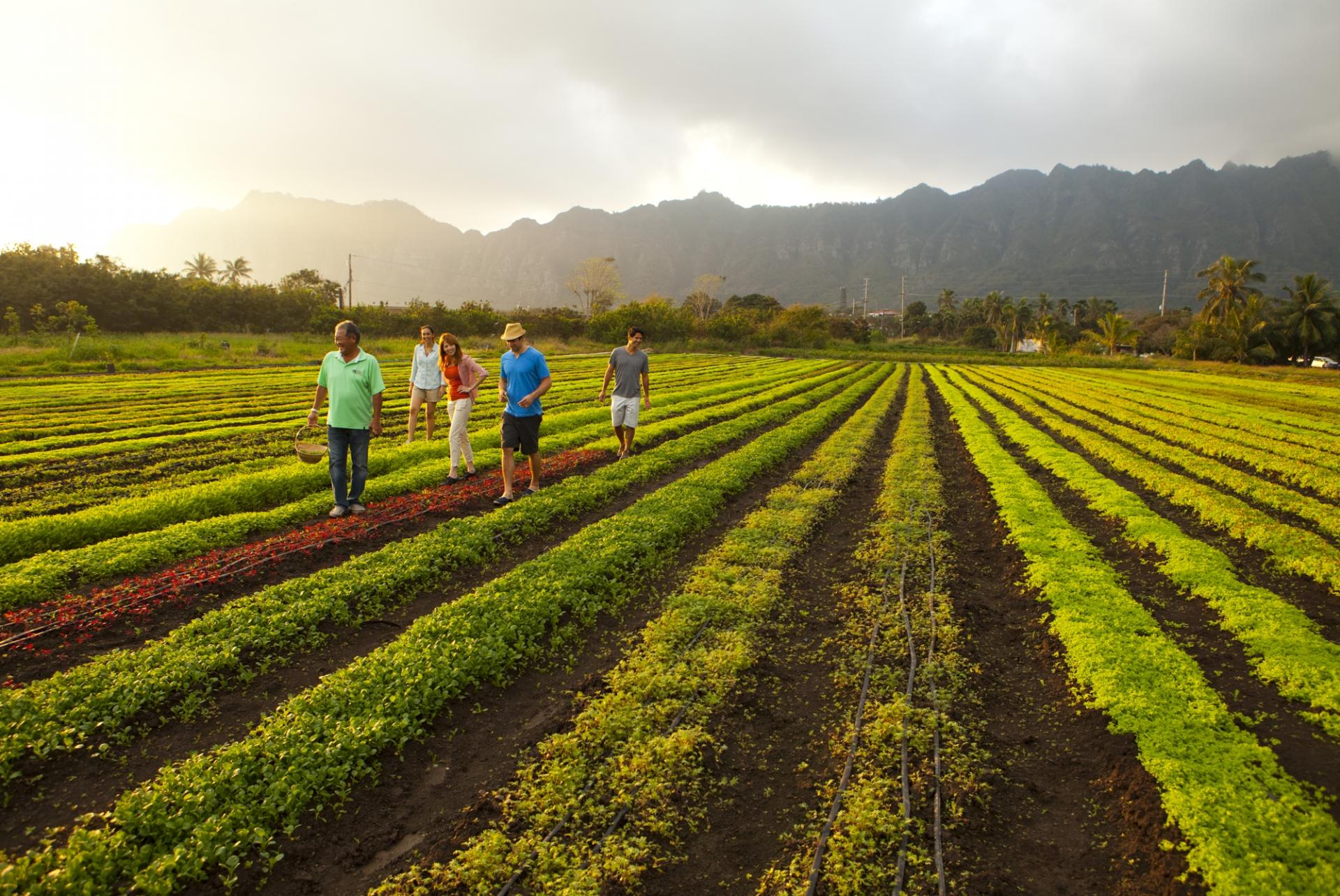 farm field tours