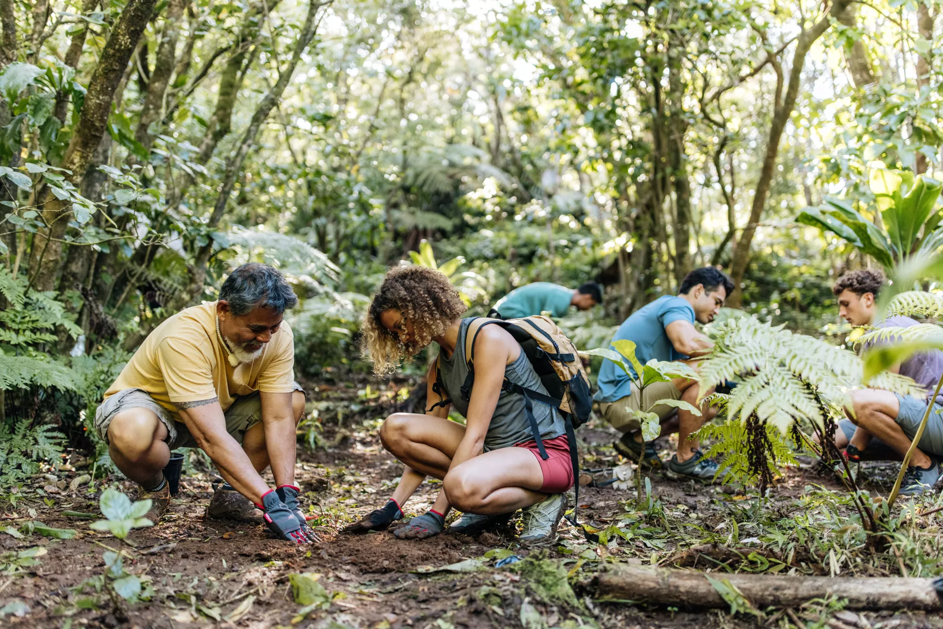 Volunteers replant native plants