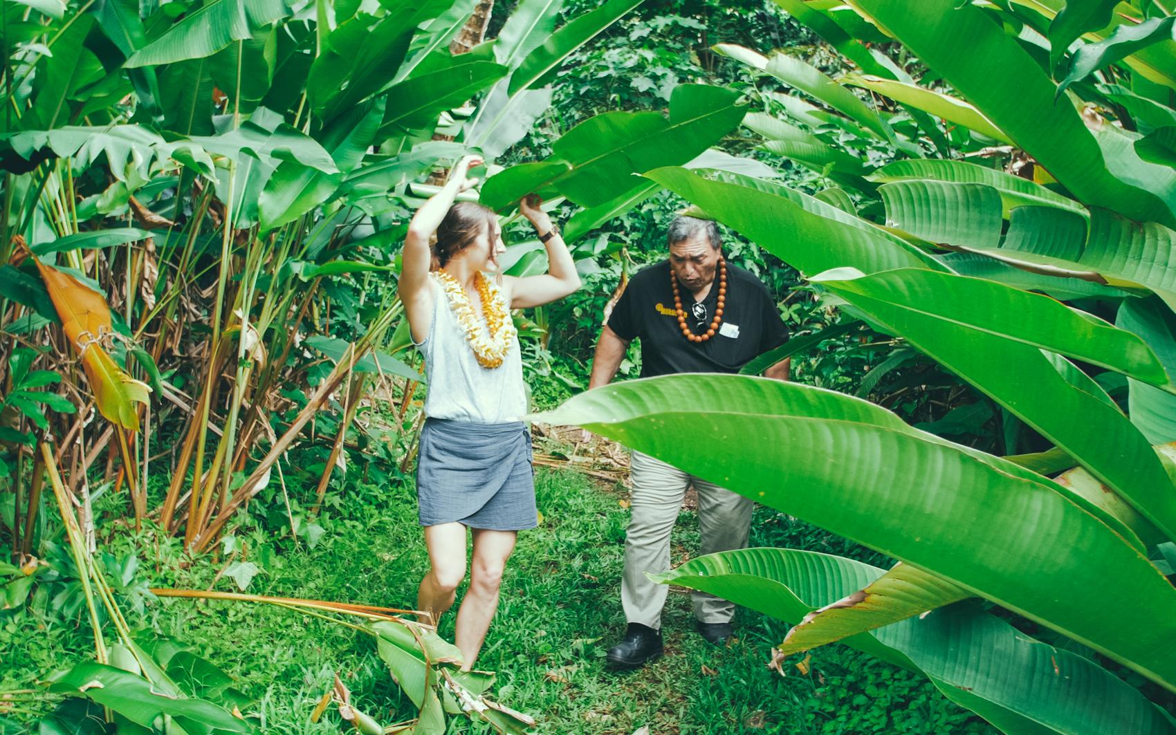 5 Ways to Experience Aloha 5 ways to experience aloha