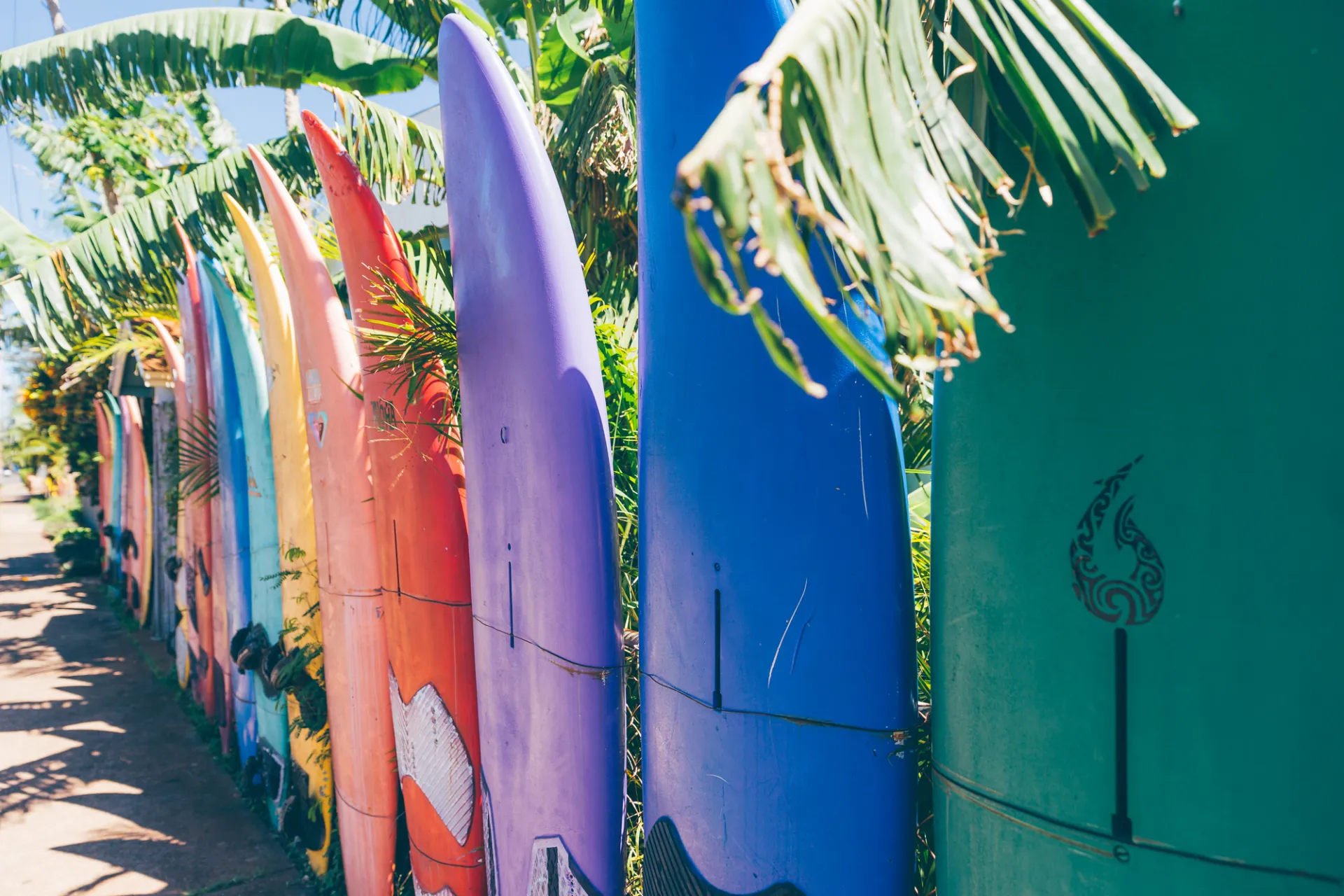 Surfboards lined up on the Hawaiian Islands